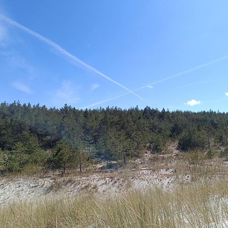 Vila Jeszcze Bardziej Dziki Sad Slajszewo Exteriér fotografie