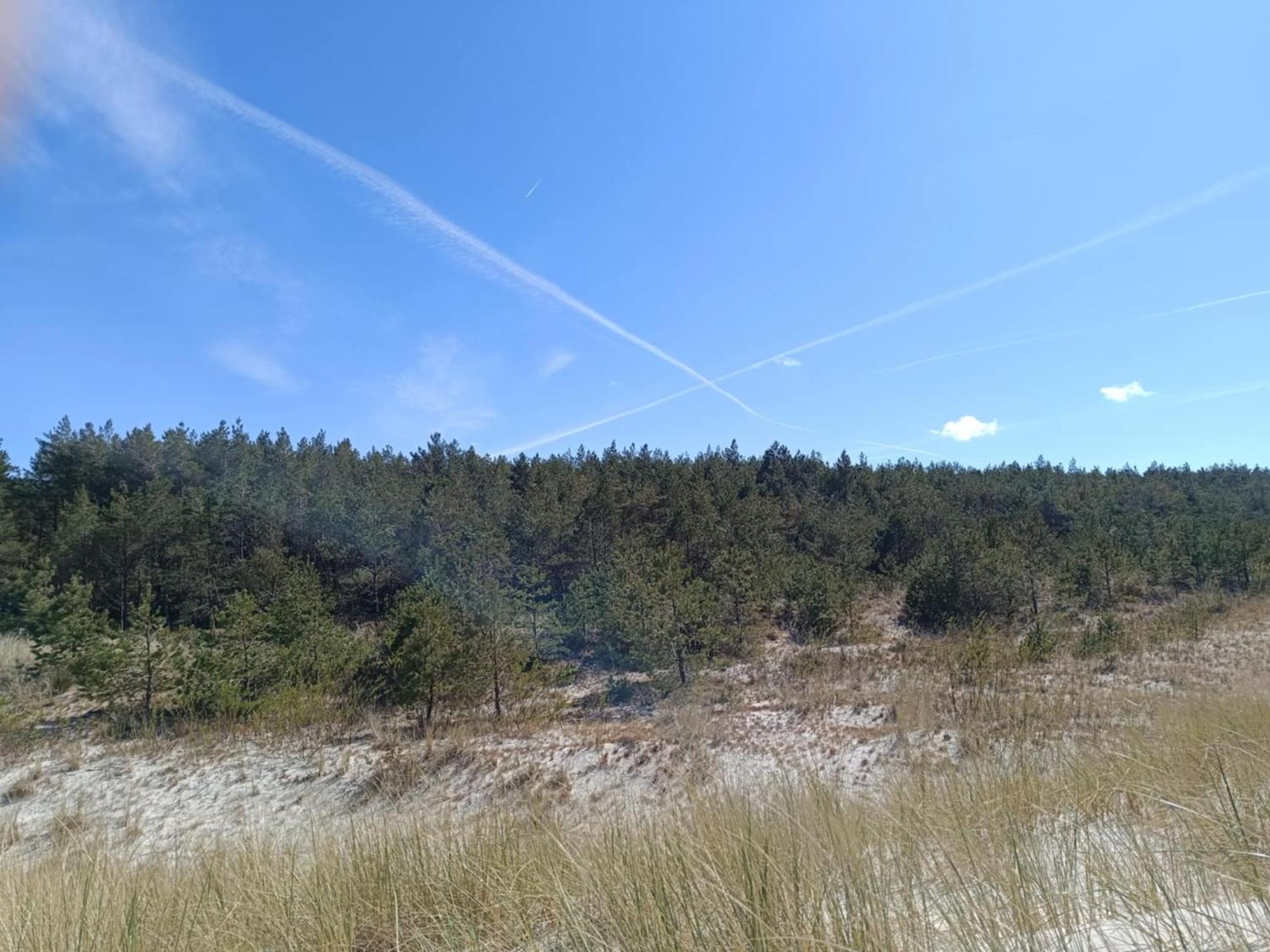 Vila Jeszcze Bardziej Dziki Sad Slajszewo Exteriér fotografie
