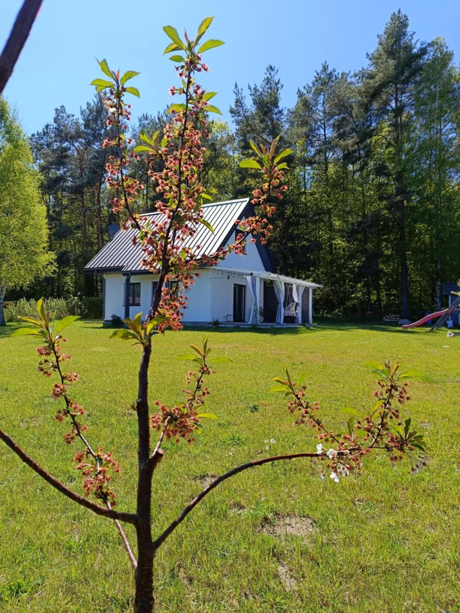 Vila Jeszcze Bardziej Dziki Sad Slajszewo Exteriér fotografie